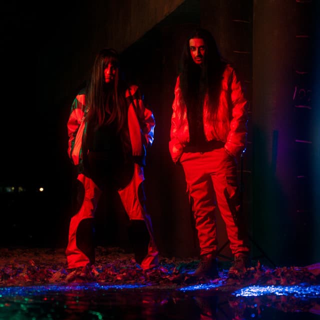 The Arcturians