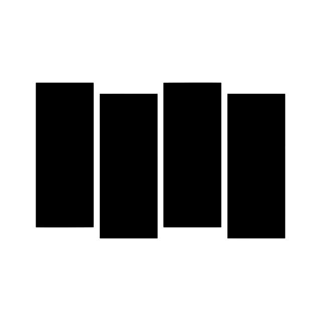 Black Flag
