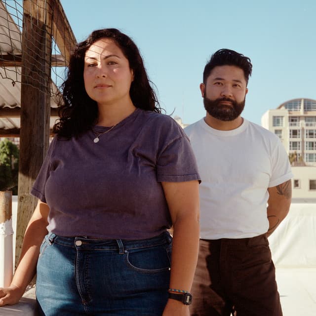 The Singer and the Songwriter