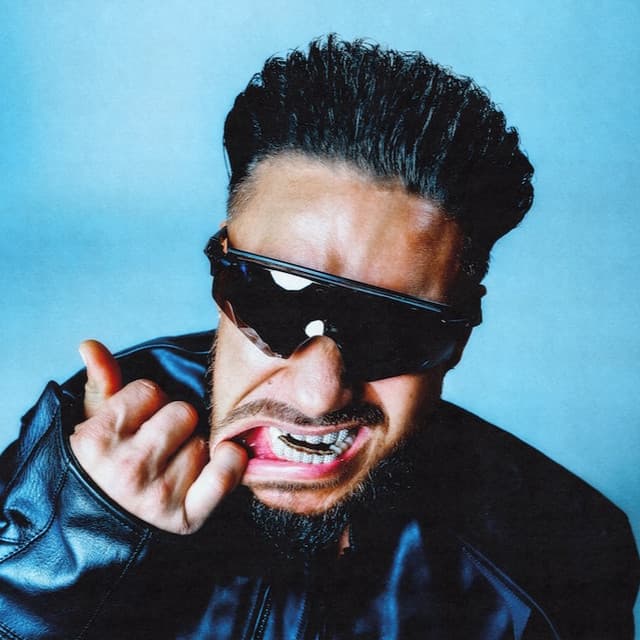DJ Pauly D