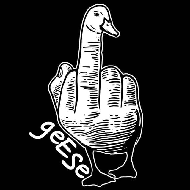 Geese