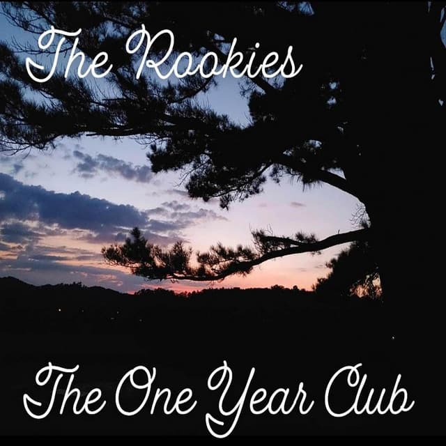 The Rookies