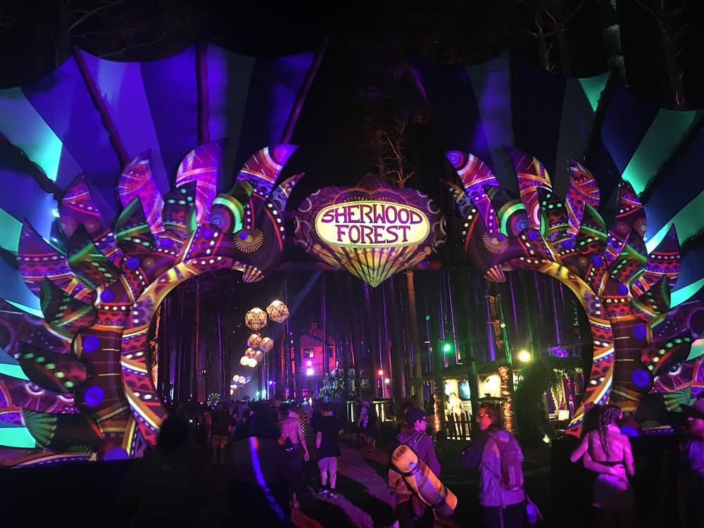 Electric Forest